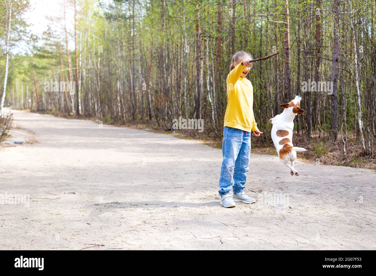 Im Sommer spielt ein Mädchen mit langen Haaren im Teenageralter im Park mit einem springenden Hund. Stockfoto