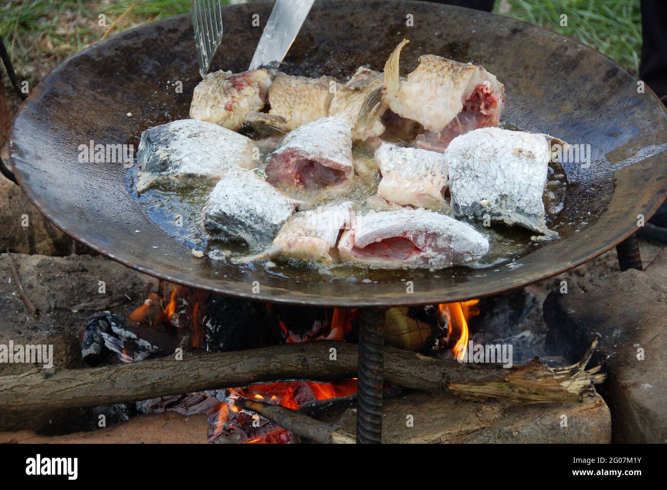Braten von Karpfenstücken. Gebratener Karpfen mit grünen Gewürzen. Stockfoto