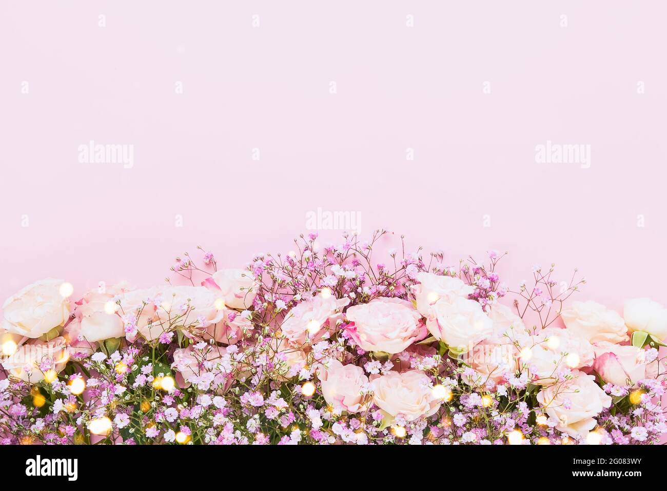Rosa Rosen und rosa Gypsophila-Blüten umrandet auf einem rosa Hintergrund, selektiver Fokus. Muttertag, Geburtstagsfeier Konzept. Draufsicht, Kopierbereich f Stockfoto