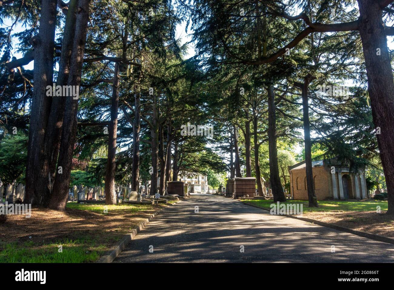 Die Straße, die in den Friedhof Hanwell führt, ist von hohen Bäumen gesäumt und ruhig und friedlich. Stockfoto