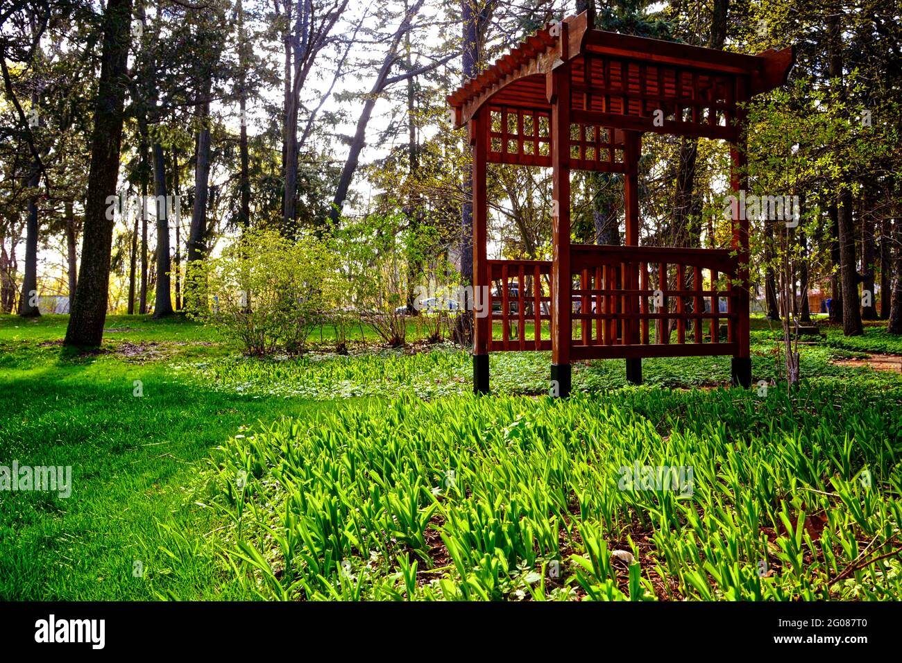 Ein hölzernes Vordach in einem öffentlichen Park im Frühling Stockfoto