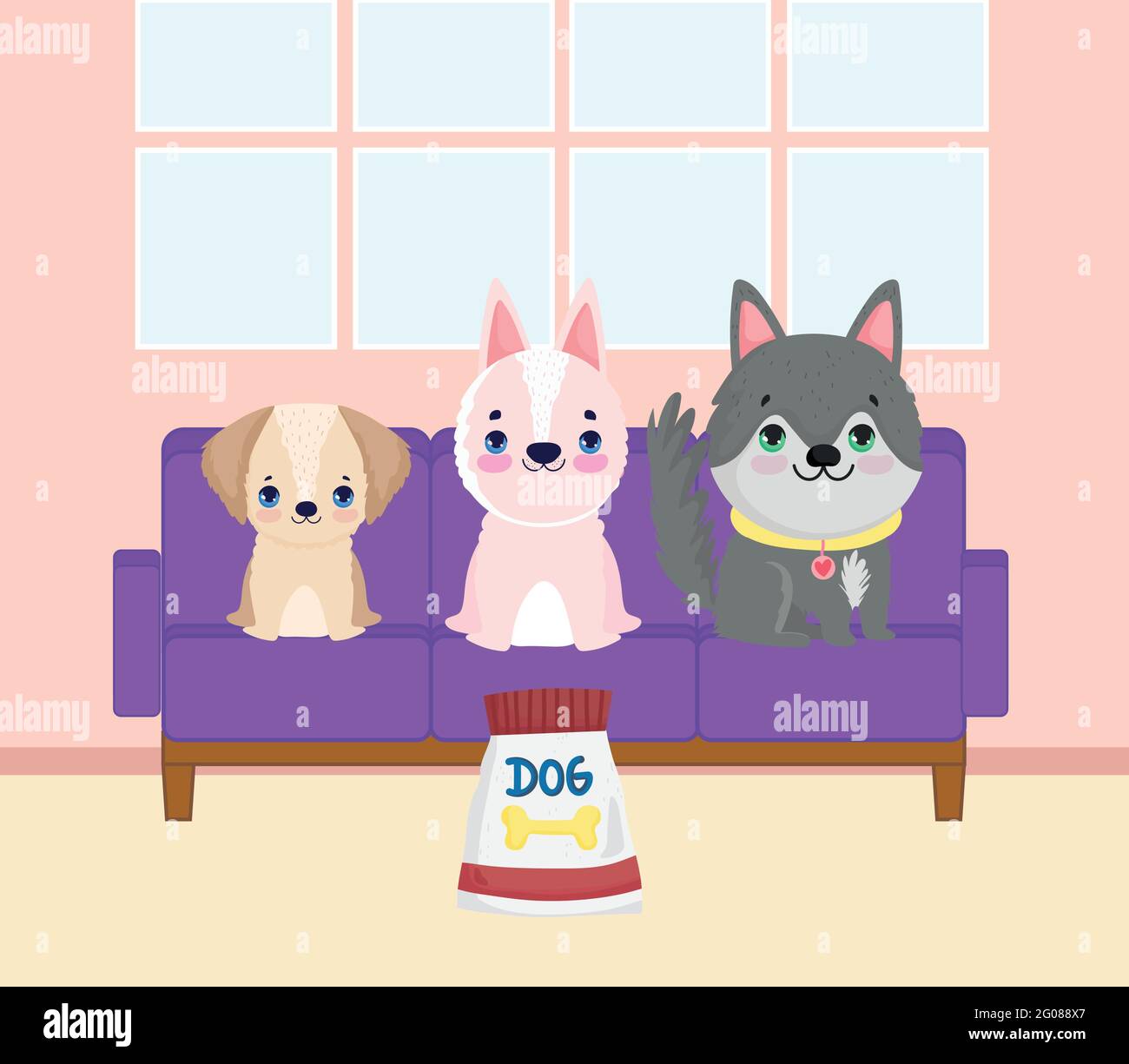 Rasse hunde pelzigen kaufen Alamy