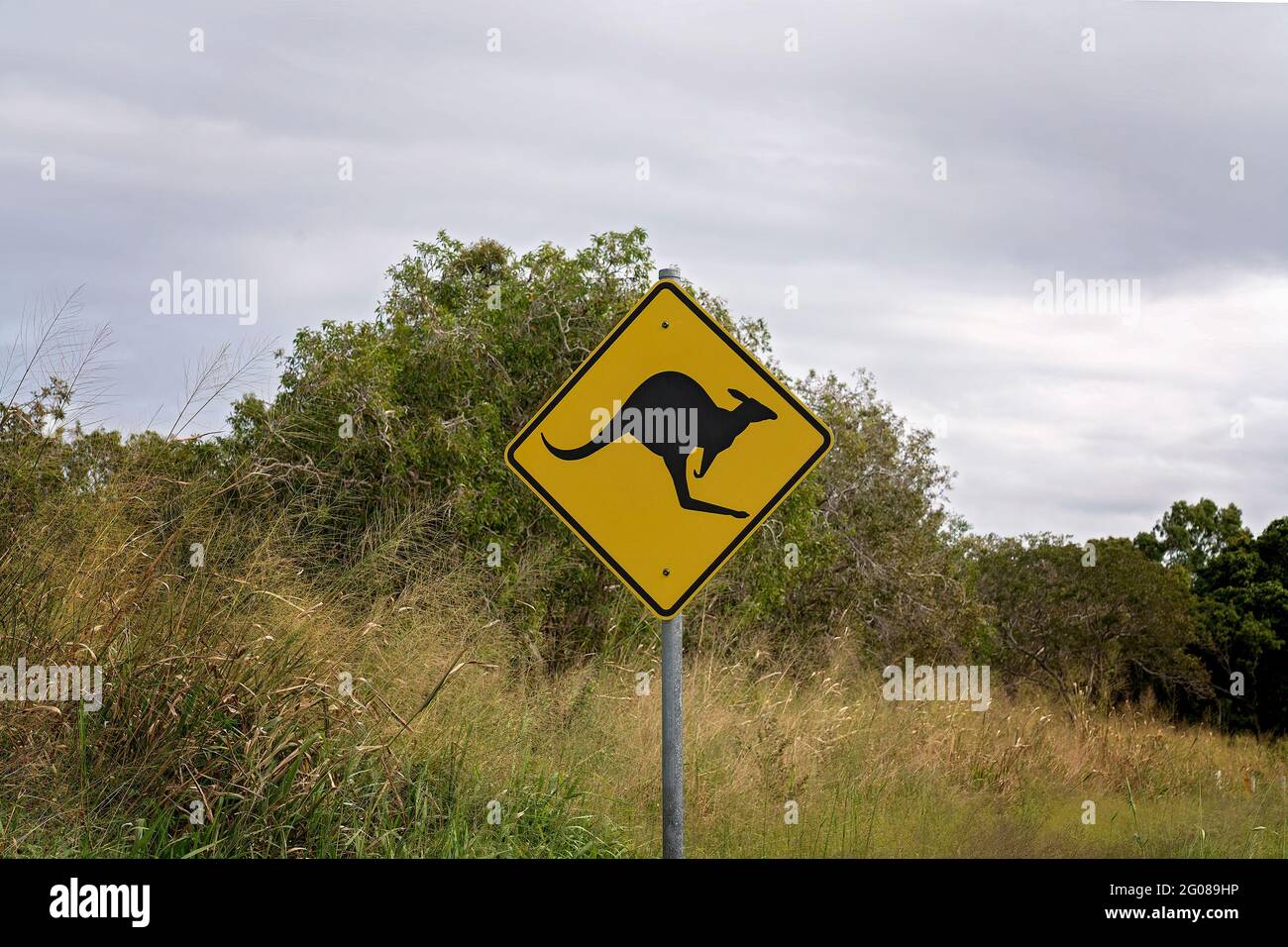 Ein Schild weist Autofahrer darauf hin, sich vor Kängurus zu hüten, die in Australien die Straße überqueren Stockfoto