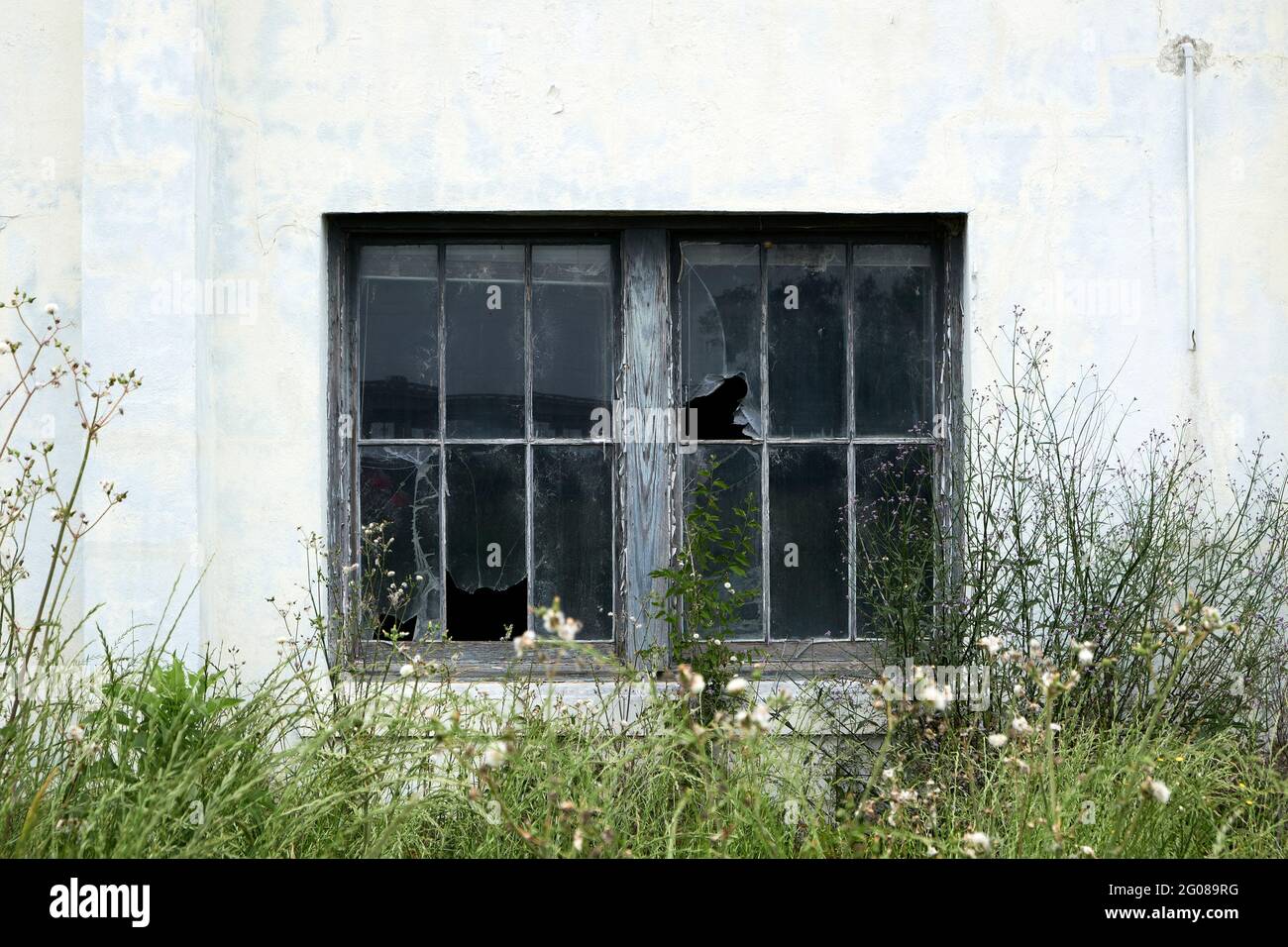 Zerbrochene Fenster eines verlassenen Gebäudes, das in Montgomery, Alabama, USA, urbane Verwerfnis oder Verfall zeigt. Stockfoto