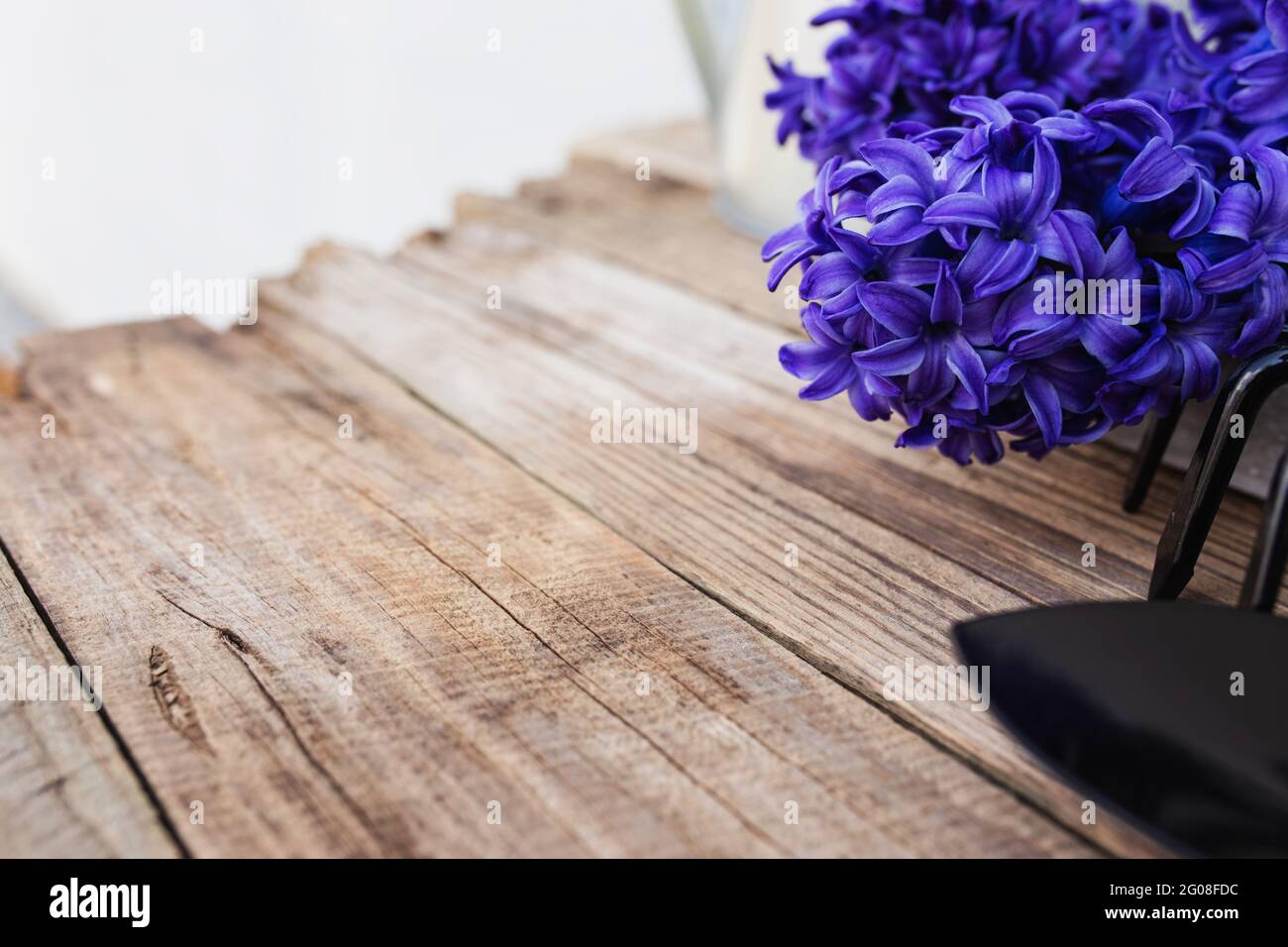 Gartenbauhobby-Konzept. Blauviolette Hyazinthe-Blütenblüte, kleine Garten-Pitchfork oder Rechen und Schaufel auf altem Holztisch-Hintergrund Stockfoto