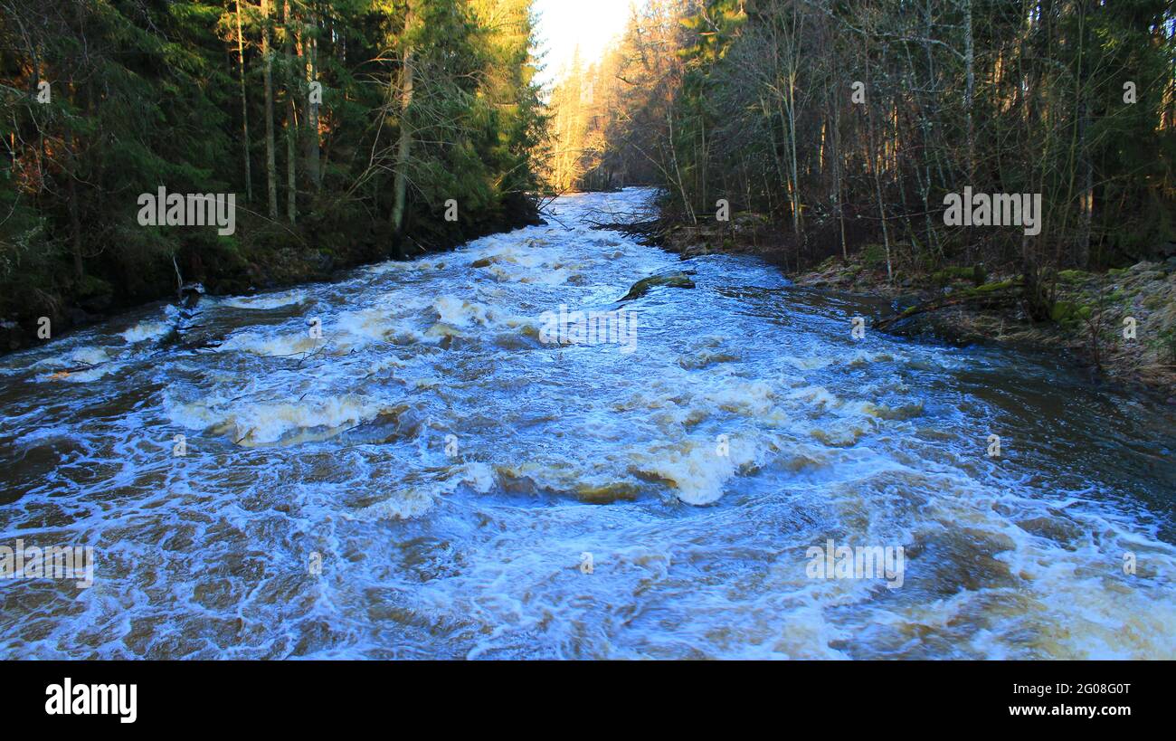 Latokartanonkoski, Salo Stockfoto