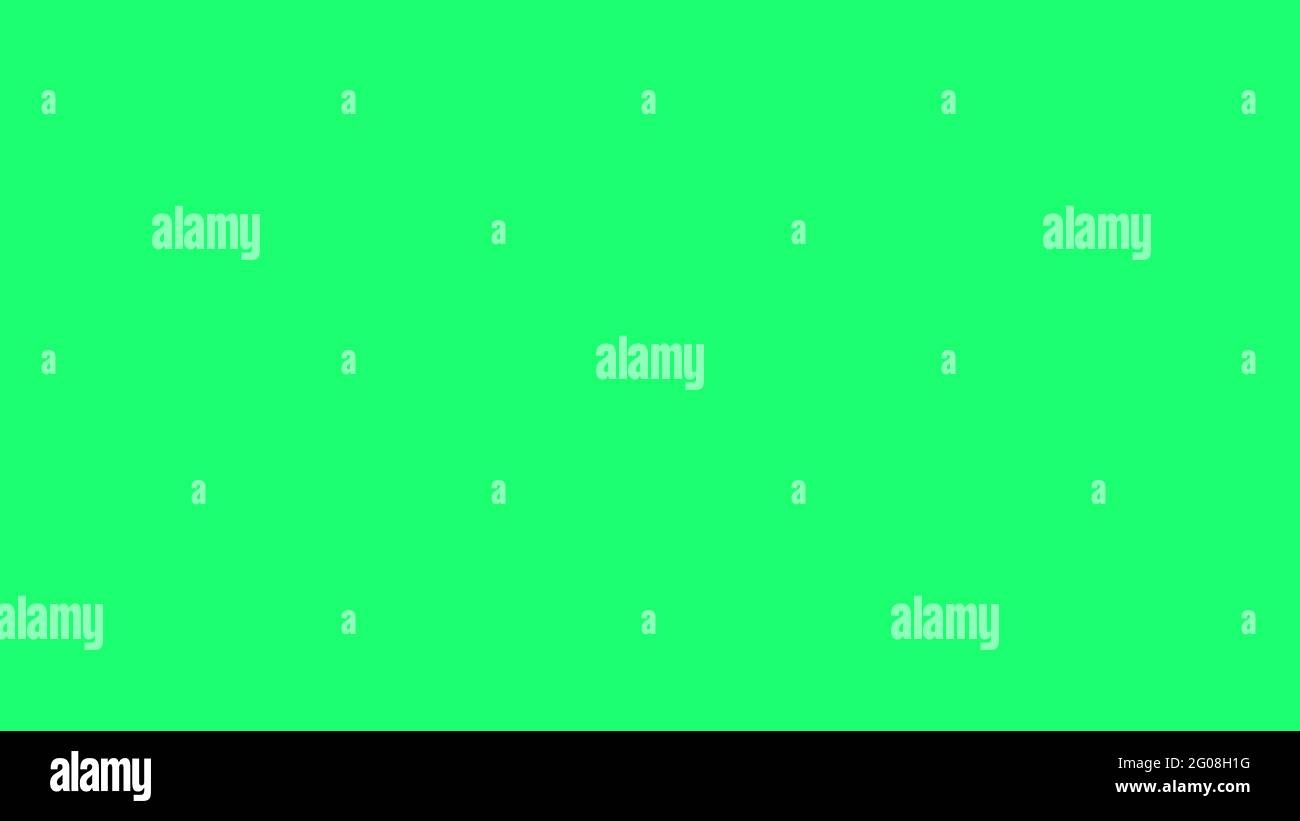 Hintergrund des grünen Bildschirms für kreative Videobearbeitung. Stockfoto