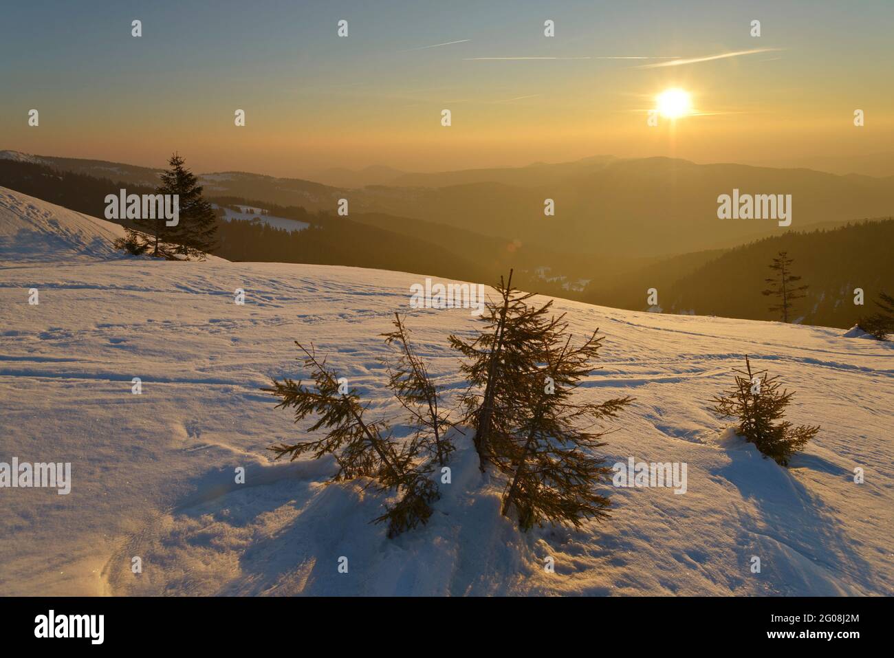 FRANKREICH, HAUT-RHIN (68), SOULTZEREN, NATURPARK BALLONS DES VOSGES, NATURSCHUTZGEBIET TANET-GAZON DU FAING, TANET-GIPFEL IM WINTER (1292 HÖHENMETER) Stockfoto