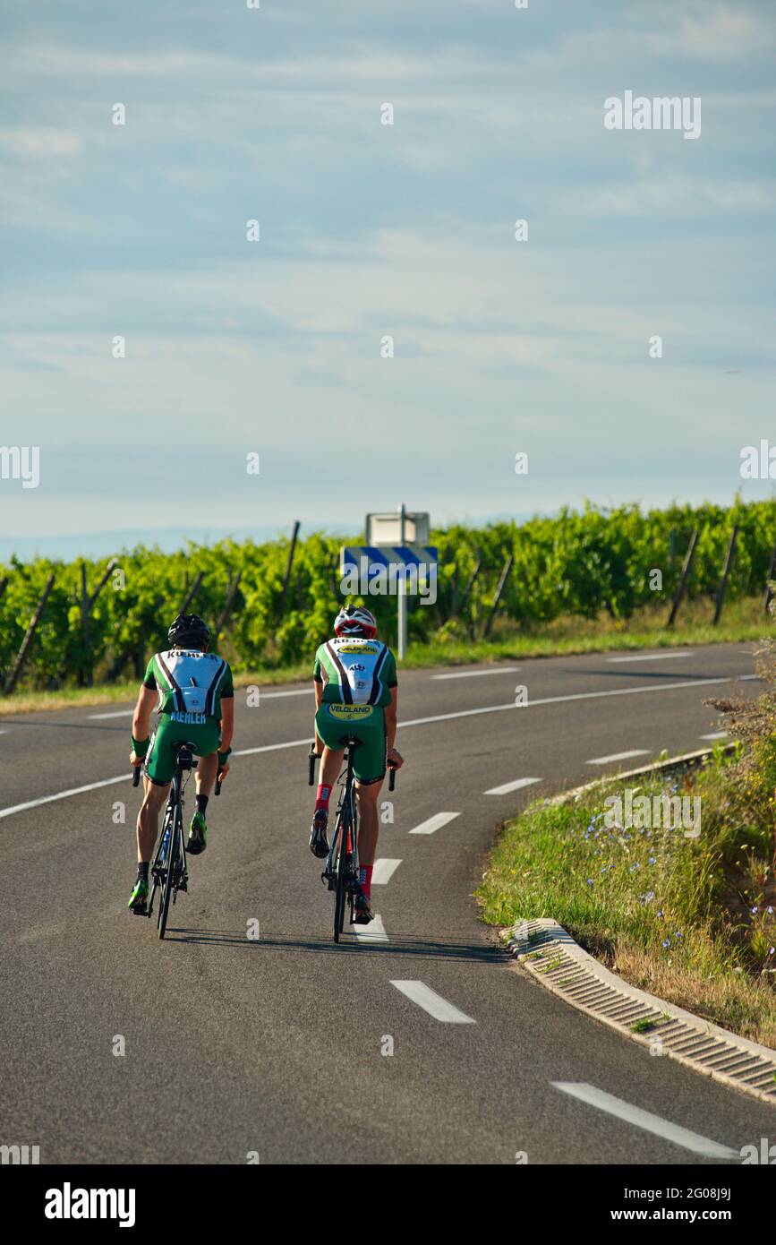 FRANKREICH, BAS-RHIN (67), BLIESCHWILLER, RADFAHRER AUF DEM WEINWEG (ROUTE D35) Stockfoto