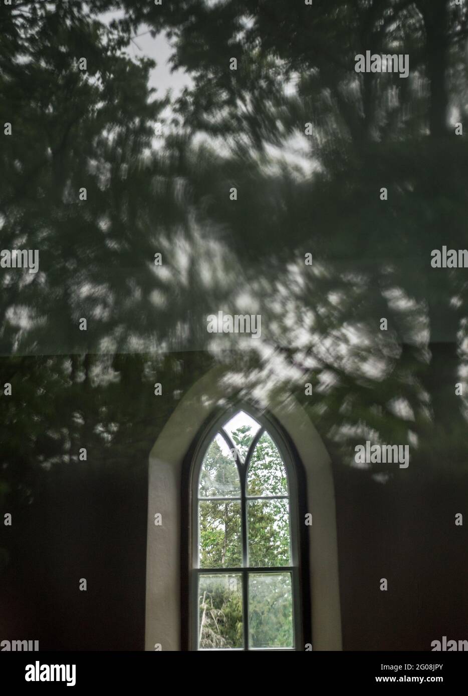 Baumblätter spiegeln sich durch das Fenster in einer historischen katholischen Kapelle in St. Donatus, Iowa, USA. Die Stadt wurde von Einwanderern aus Luxemburg besiedelt. Stockfoto
