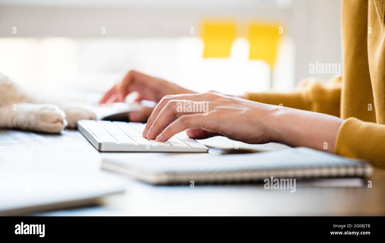 Frau Hände tippen auf Computer-Tastatur auf dem Tisch zu Hause Stockfoto