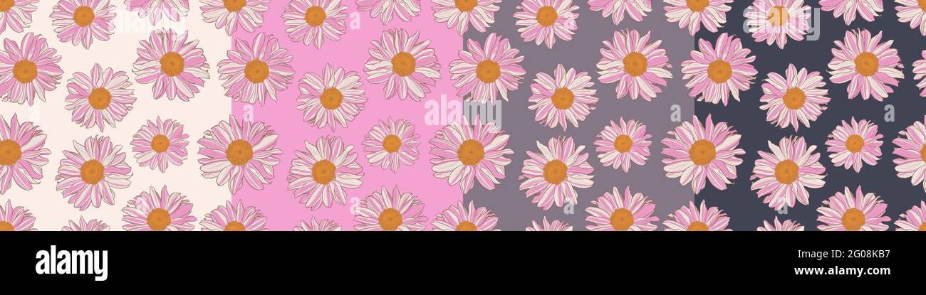 Satz von nahtlosen Mustern aus weißen und rosa Gänseblümchen mit gelber Mitte auf verschiedenen Farbfeldern: Weiß, Rosa, alter Lavendel, Kohle. Dekorativer Druck für Tapete, Verpackung, Textil, Modestoff. Stock Vektor