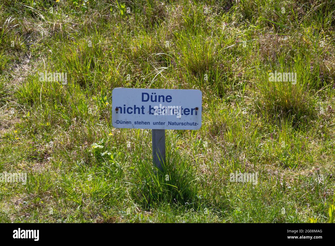schild mit deutscher Aufschrift: 'Nicht in die Düne - Dünen stehen unter Naturschutz' Stockfoto