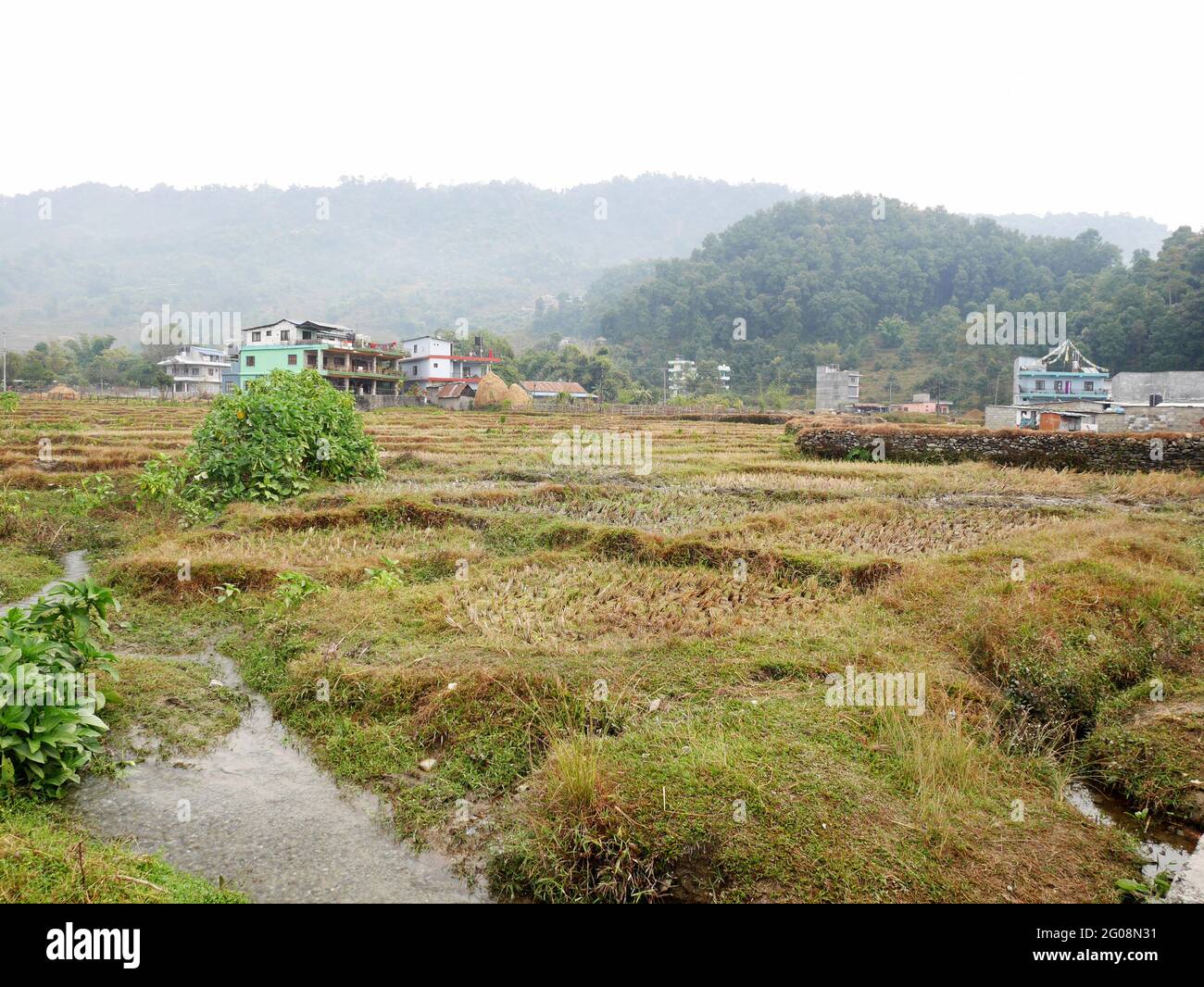 Landschaft ansehen Stadtbild kleines Dorf und nepalesische Menschen transplantieren Reisfeld in Bauernhof Wiese Land am Pokhara Hügelland V Stockfoto