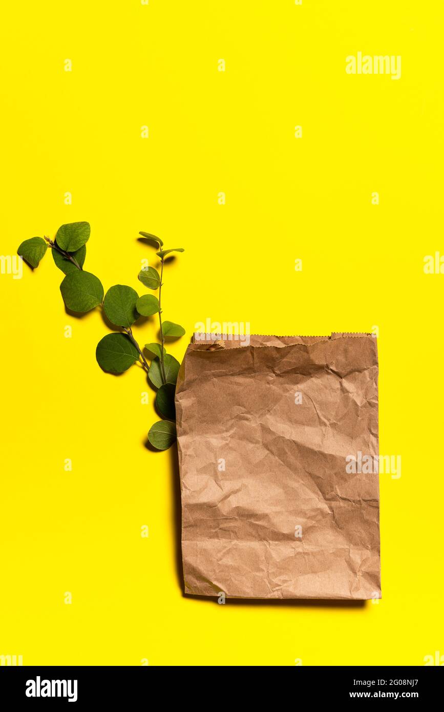 Braune zerknitterte Einkaufstasche aus recyceltem Papier und wenigen grünen Baumzweigen auf gelbem Papierhintergrund. Blätter haben natürliche Flecken und Kratzer. Eg Stockfoto