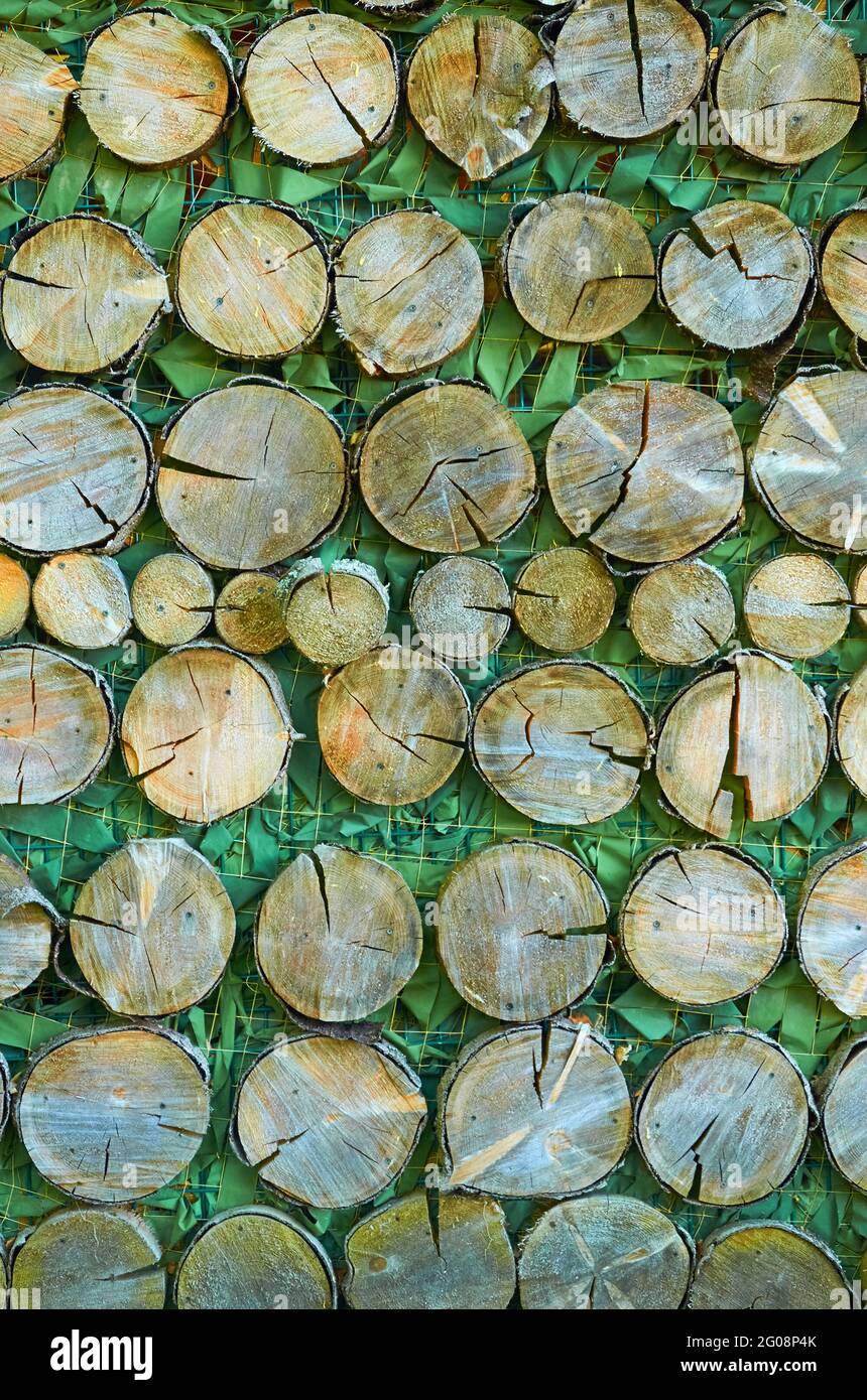 Der Hintergrund besteht aus runden Holzsägen und Tarngeflitzungen Stockfoto