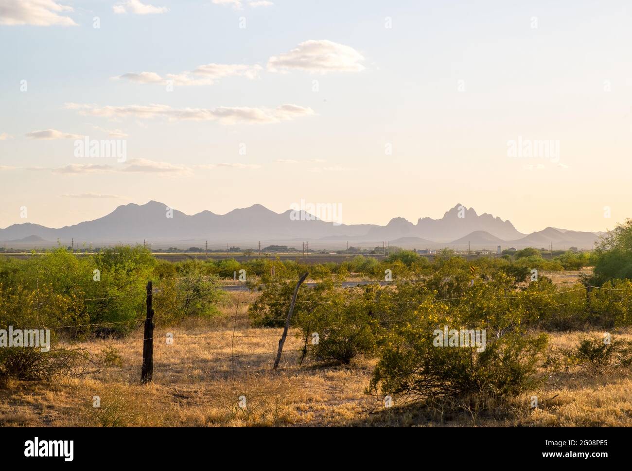 Silver Bell Mountains, Ironwood Forest National Monument, Süd-Arizona, USA, Sonnenuntergang im Frühling Stockfoto