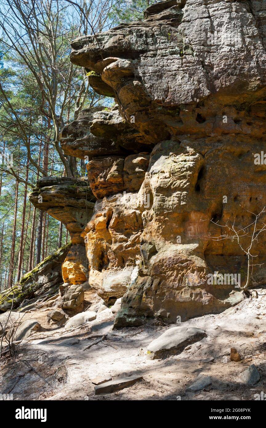 Naturschutzgebiet Skałki Piekło pod Niekłaniem, Woiwodschaft Świętokrzyskie, Polen Stockfoto