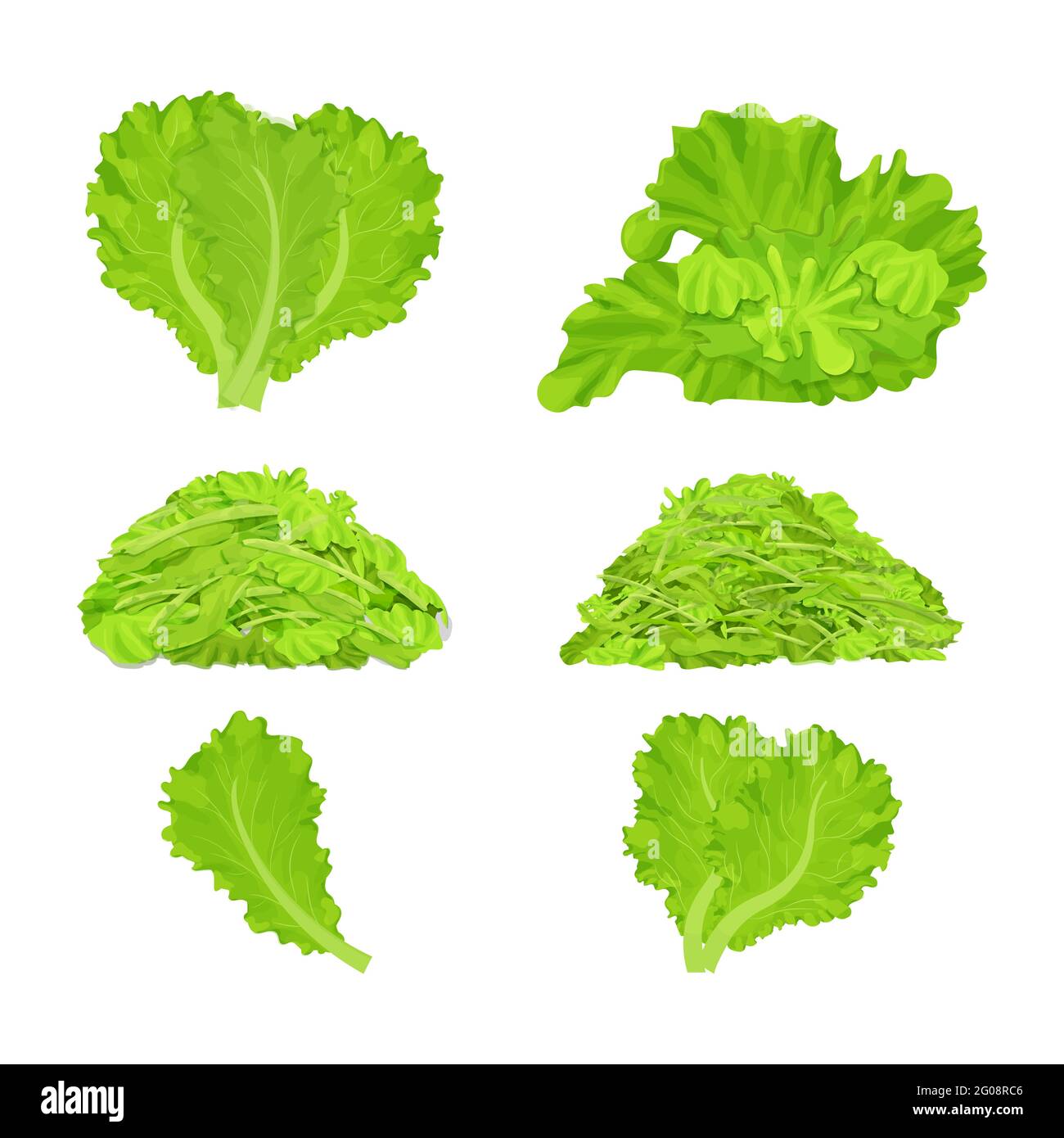 Set aus verschiedenen Salatblättern, geschreddert Haufen isoliert auf weißem Hintergrund. Realistische flache Cartoon-Stil, detaillierte, bunte Komposition Sammlung. Stock Vektor