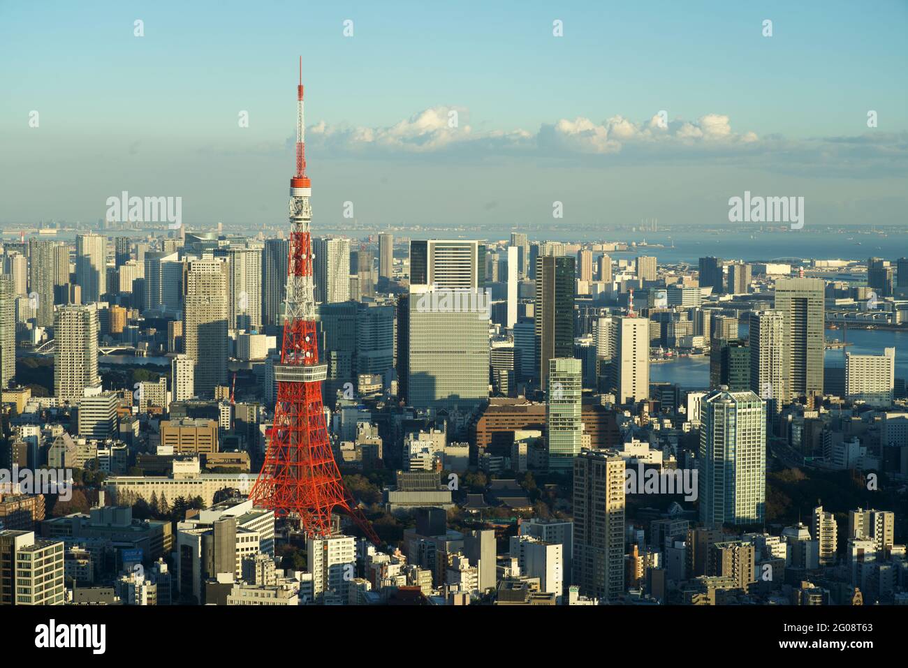 Blick auf die Skyline von Tokio und den Tokyo Tower von der Aussichtsplattform Tokyo City View, Roppongi Hills, Mori Tower, Tokio, Japan Stockfoto