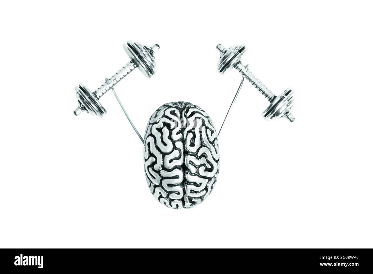 Kleine Stahlkopie des menschlichen Gehirns, die schwere Hanteln auf Weiß isoliert hebt. Kreatives Gehirntrainingskonzept. Stockfoto