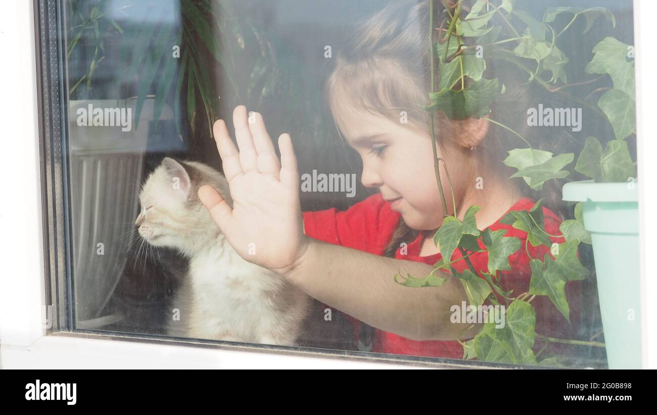 Schönes kleines Mädchen, das lächelt und aus dem Fenster schaut. Ein Kind schaut aus dem Fenster. Porträt eines fröhlichen Kindes. Selbstdistanzierung zu Hause während Coro Stockfoto