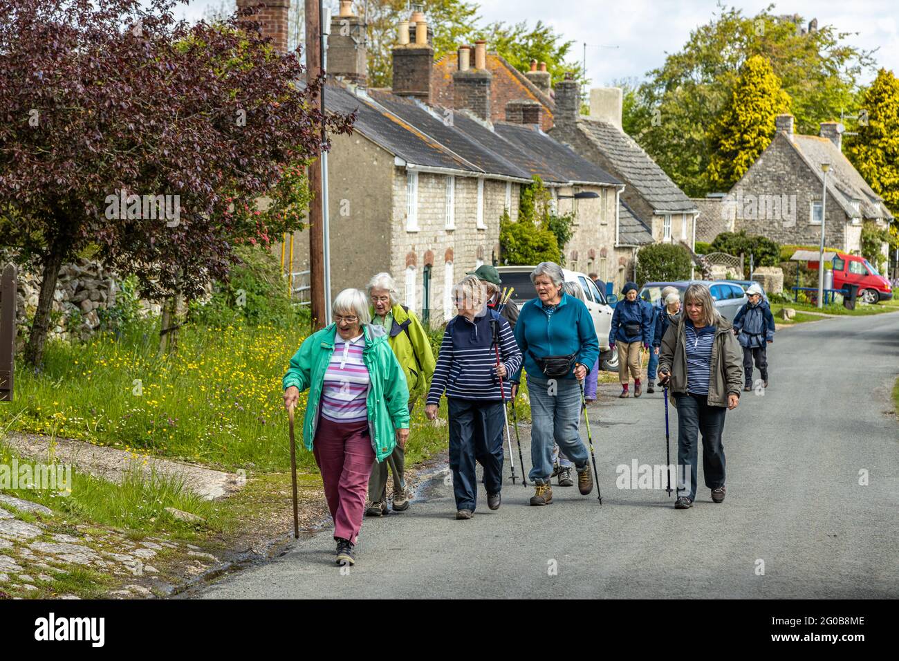 Eine Gruppe älterer Damen, die gerne an der frischen Luft der Landschaft und der Dörfer von Dorset England wandern und wandern Stockfoto