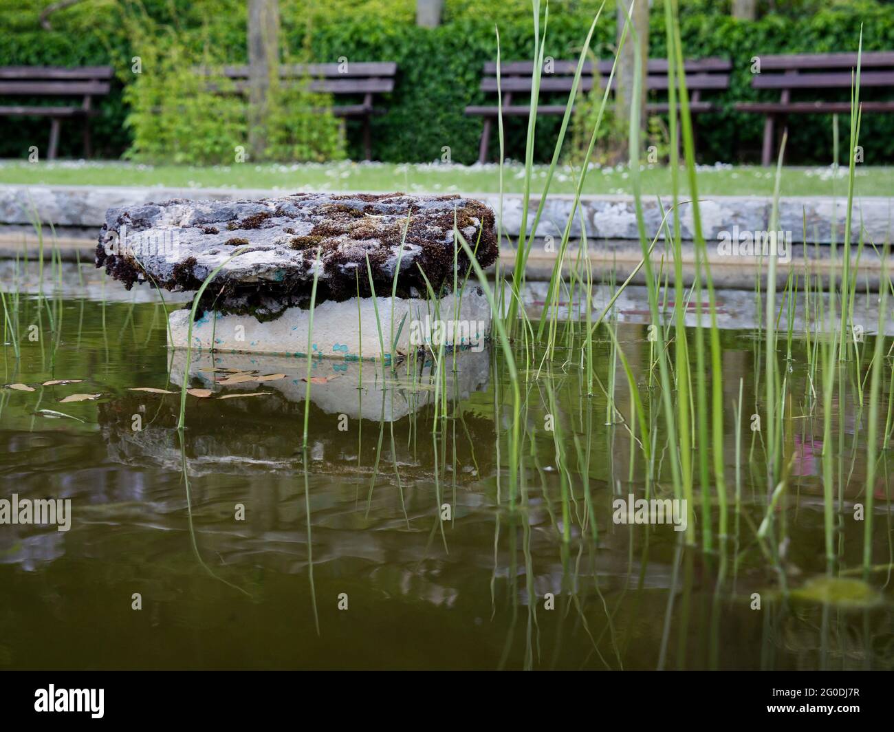 Podest gras Fotos und Bildmaterial in hoher Auflösung Seite 3 Alamy