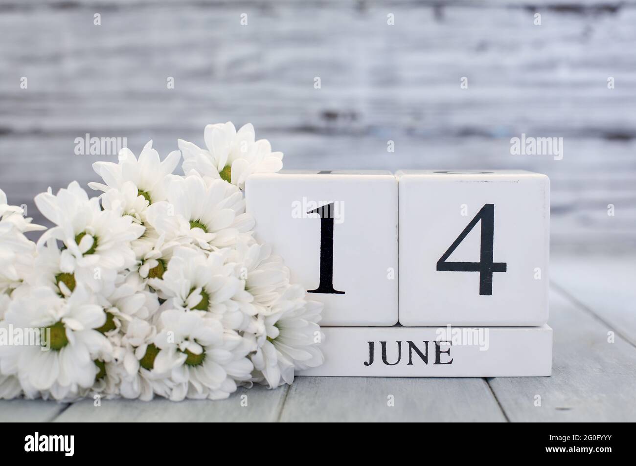 Kalenderblöcke aus weißem Holz mit dem Datum des 14. Juni und weißen Gänseblümchen. Selektiver Fokus mit unscharfem Hintergrund. Stockfoto