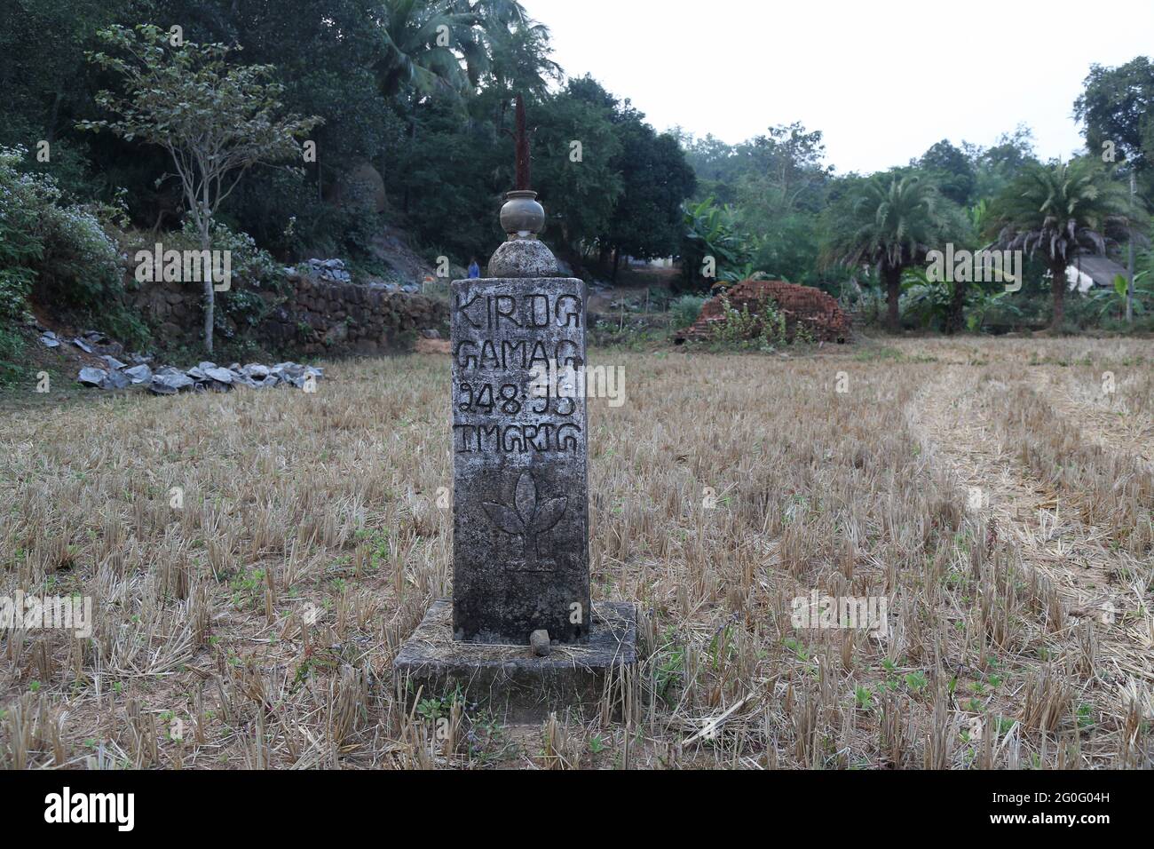 LANJIA SAORA STAMM. Friedhof mit Ahnendenkmal auf dem Feld. Gunpur Village of Odisha, Indien Stockfoto