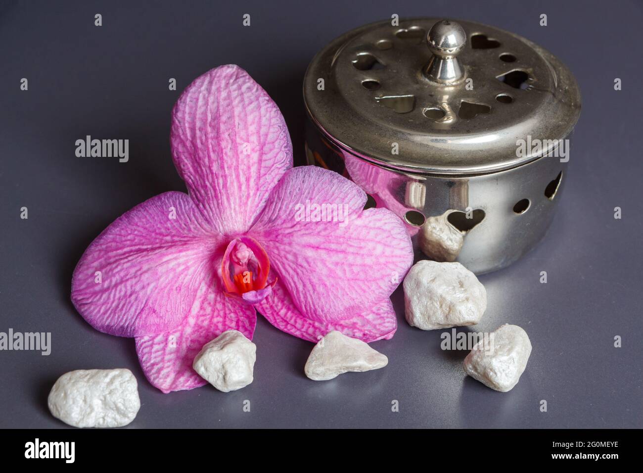 Rosafarbene Orchideenblume, Zinnbox und Steine als Dekoration für ein Spa Stockfoto