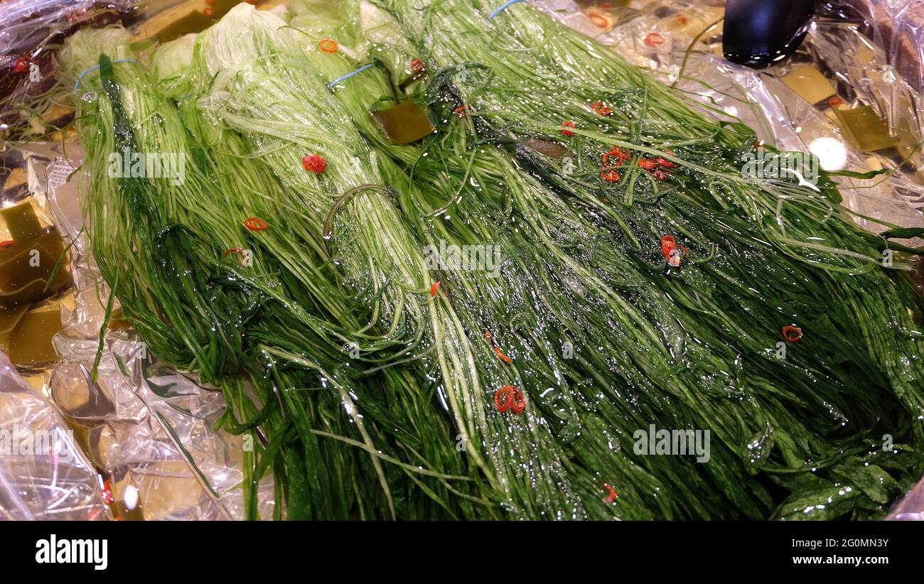 Leicht eingelegtes mizuna, ein japanisches Gemüse, das auch als japanisches Senfgrün oder Spinnensenf bekannt ist. Stockfoto