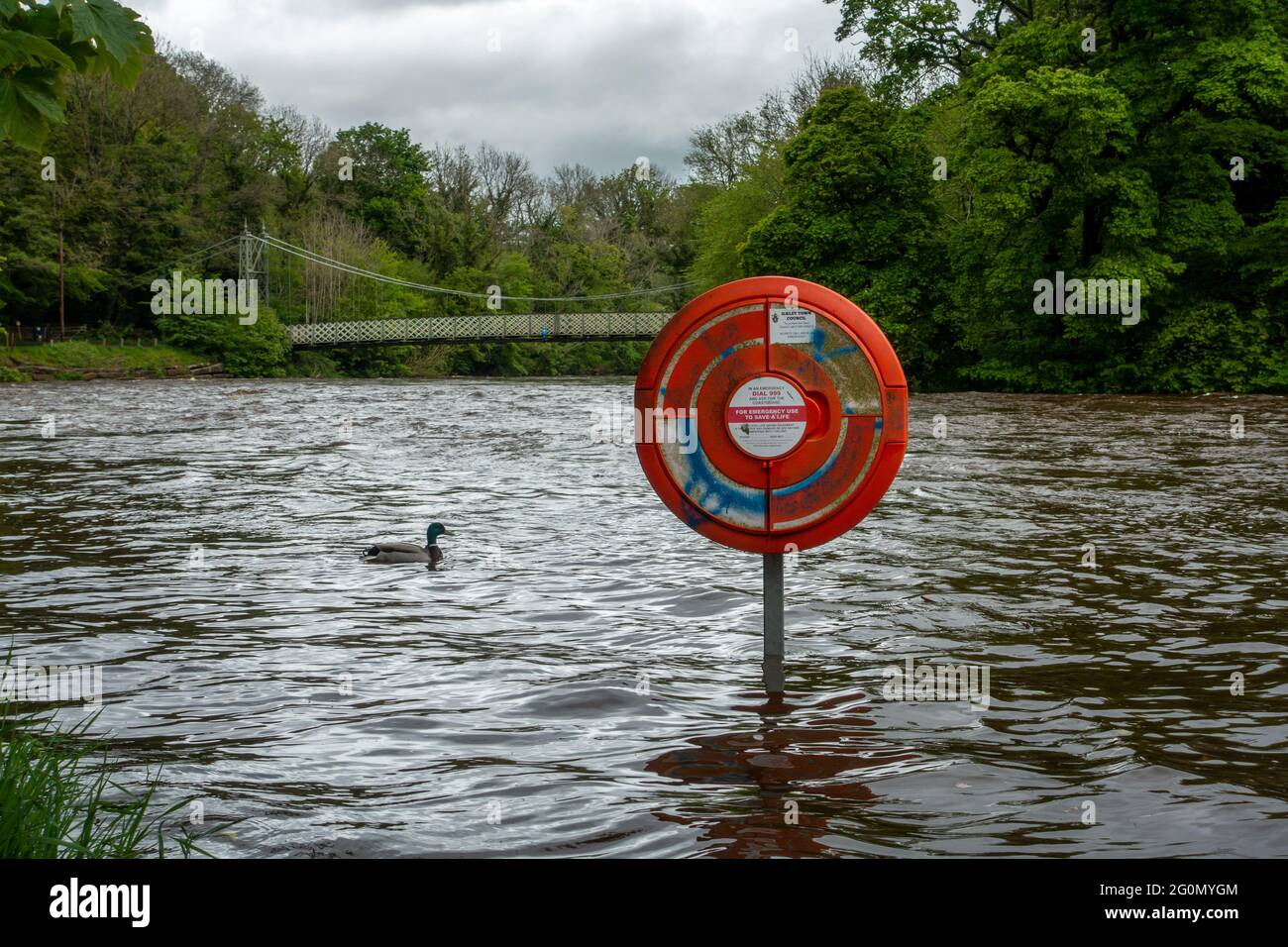 Lebensrettende Ausrüstung, die normalerweise „neben“ dem Fluss Wharfe steht, aber im Hochwasser von Ilkley, West Yorkshire, untergetaucht ist Stockfoto
