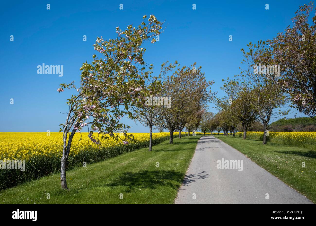 Kunst und Landschaft, Yorkshire Wolds, Großbritannien Stockfoto