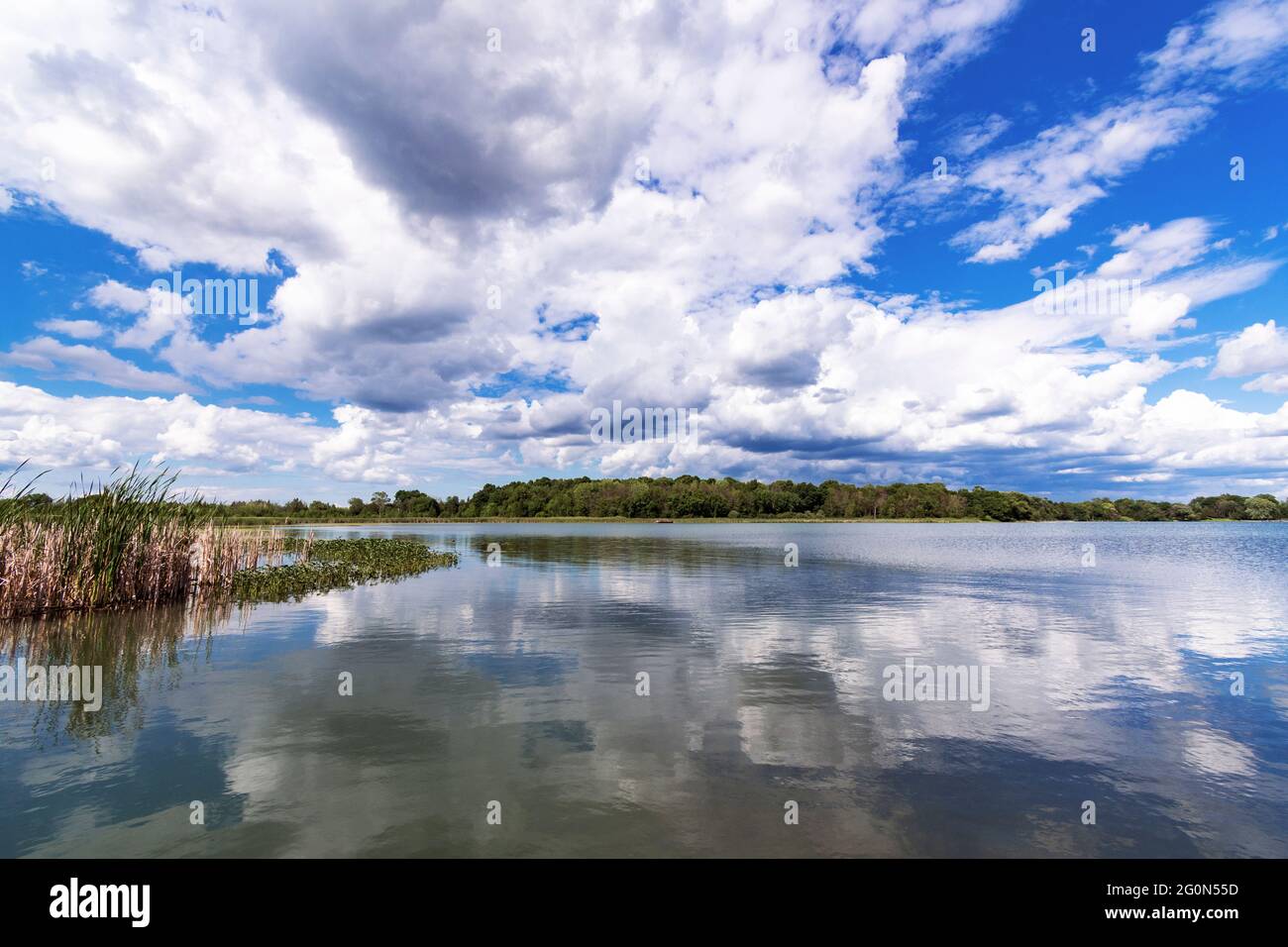 Mit Blick auf einen ländlichen See in Wisconsin, Ashippun Lake in Waukesha County. Cumulus-Wolken spiegeln sich in den ruhigen Gewässern. Die Küstenlinie wird von abgedeckt Stockfoto