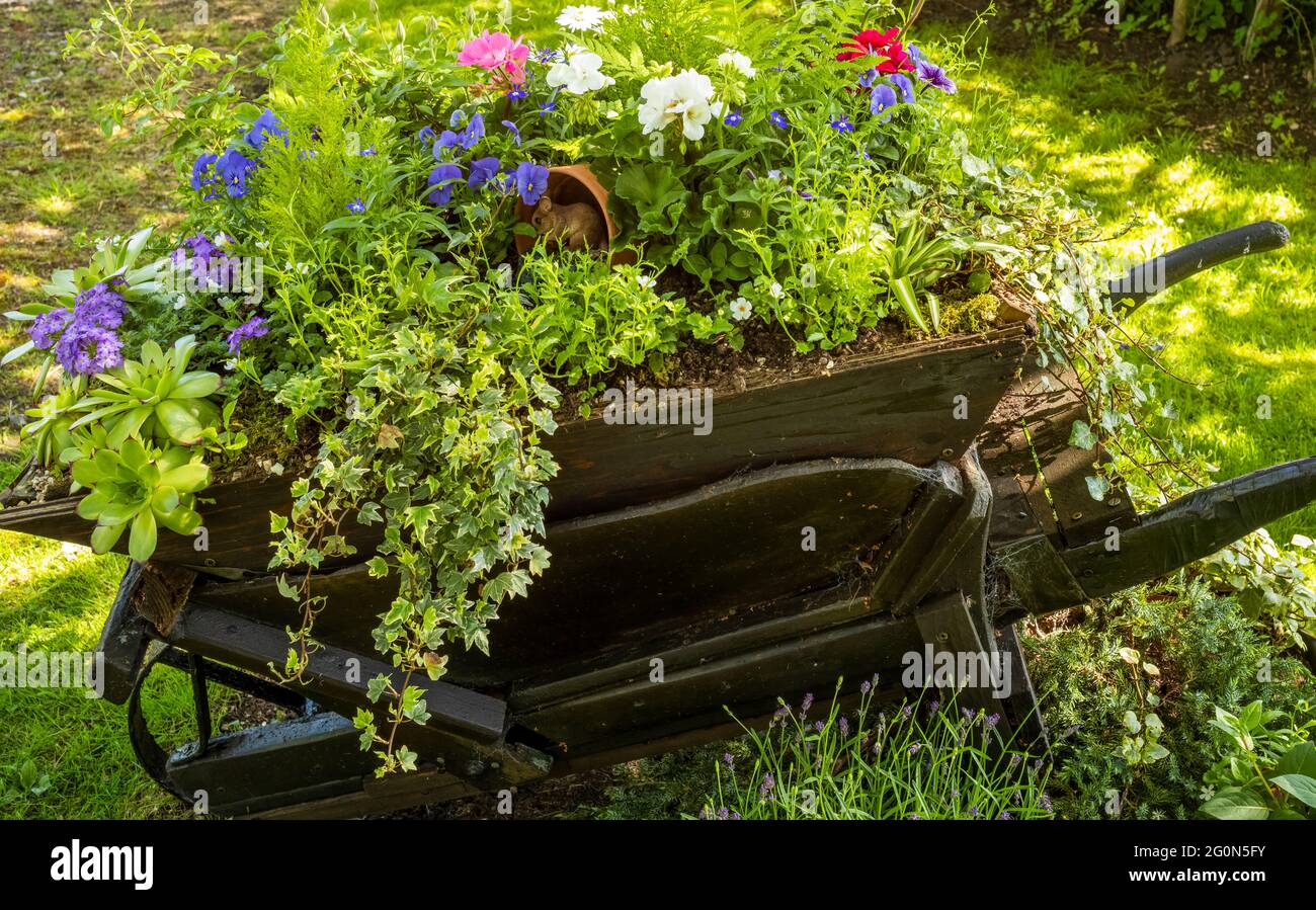 Ein auffälliges Blumenarrangement am Wegesrand, Appleton Roebuck, North Yorkshire, Großbritannien Stockfoto