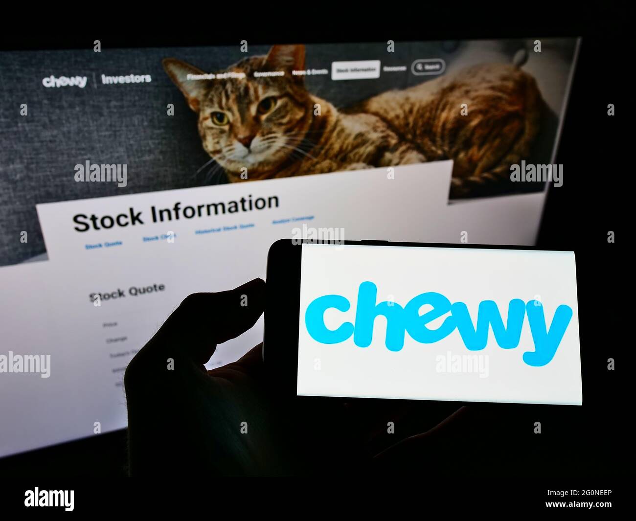 Person, die ein Mobiltelefon mit dem Logo des amerikanischen Heimtiernahrung-Online-Einzelhandelsunternehmens Chewy Inc. Auf dem Bildschirm vor der Website hält. Konzentrieren Sie sich auf die Telefonanzeige. Stockfoto