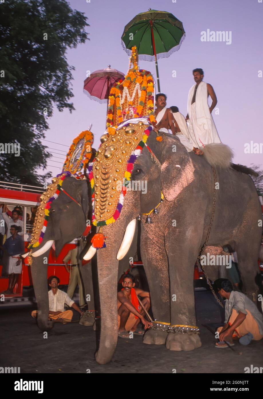 COCHIN, KERALA, INDIEN - hinduistische religiöse Prozession mit vergoldeten Elefanten auf den Straßen von Cochin, Ernakulam Bezirk. Stockfoto