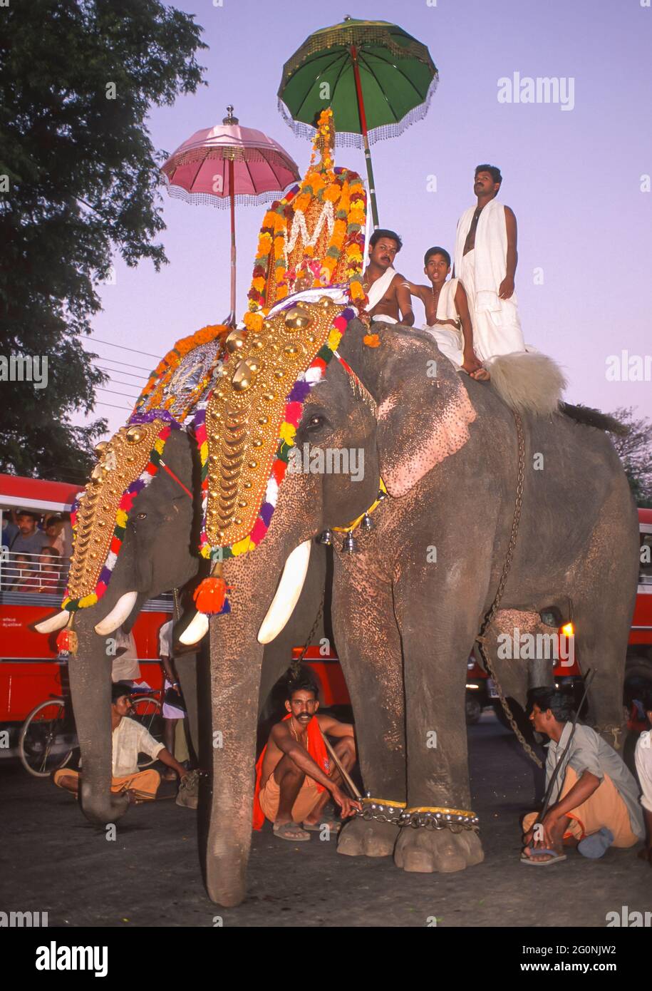 COCHIN, KERALA, INDIEN - hinduistische religiöse Prozession mit vergoldeten Elefanten und ihren Handler Mahouts, auf den Straßen von Cochin, Ernakulam Bezirk. Stockfoto