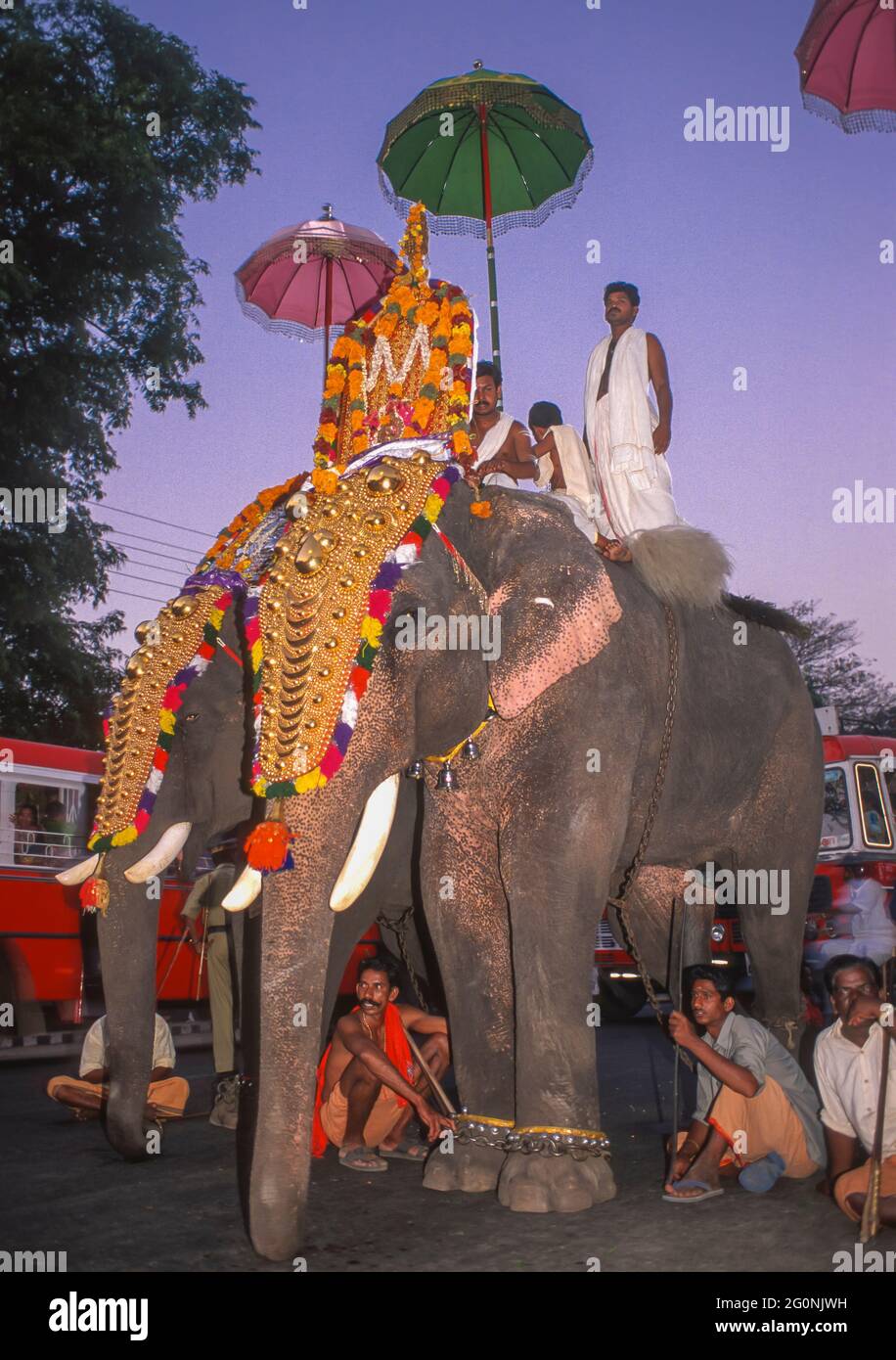 COCHIN, KERALA, INDIEN - hinduistische religiöse Prozession mit vergoldeten Elefanten und ihren Handler Mahouts, auf den Straßen von Cochin, Ernakulam Bezirk. Stockfoto