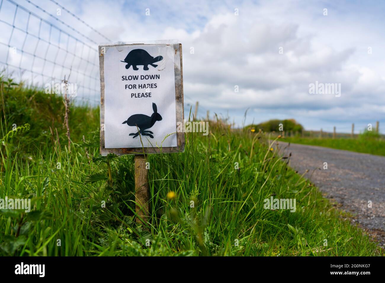 Schild neben eingleisigen Straßenwarnung auf Anwesenheit von Hasen, Islay, innere Hebriden, Schottland, Großbritannien Stockfoto