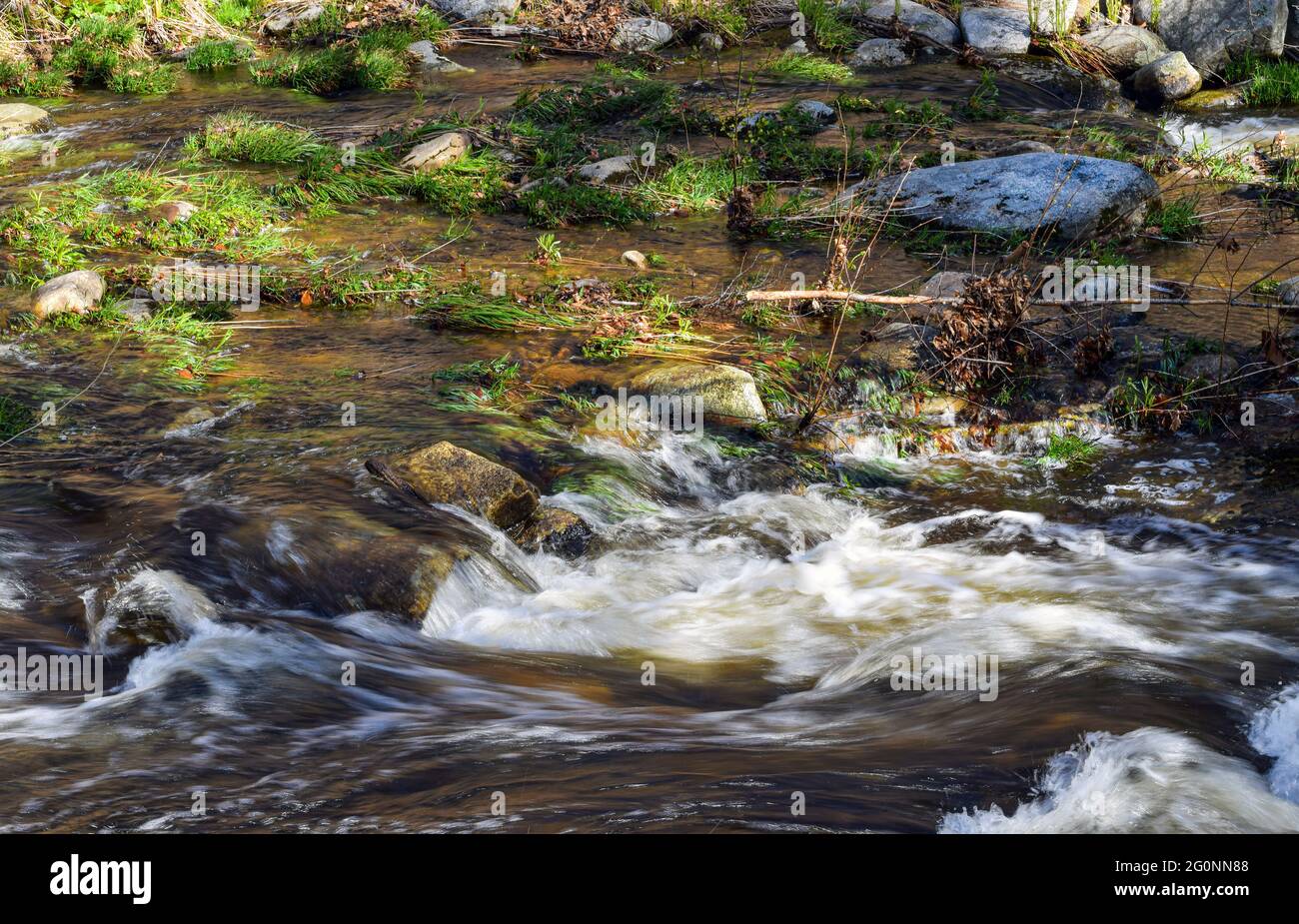 Wasser, das über Felsen im Wilard Brook im willard Brook stae Park in ashby Mass stürzt. Stockfoto