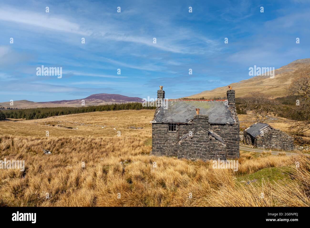 Ein altes verlassene Bauernhaus, das gegenüber Arenig Fach liegt, das in der Nähe von Arenig Fawr liegt. Augustus John und James Dickson Innes sind vermutlich geblieben h Stockfoto