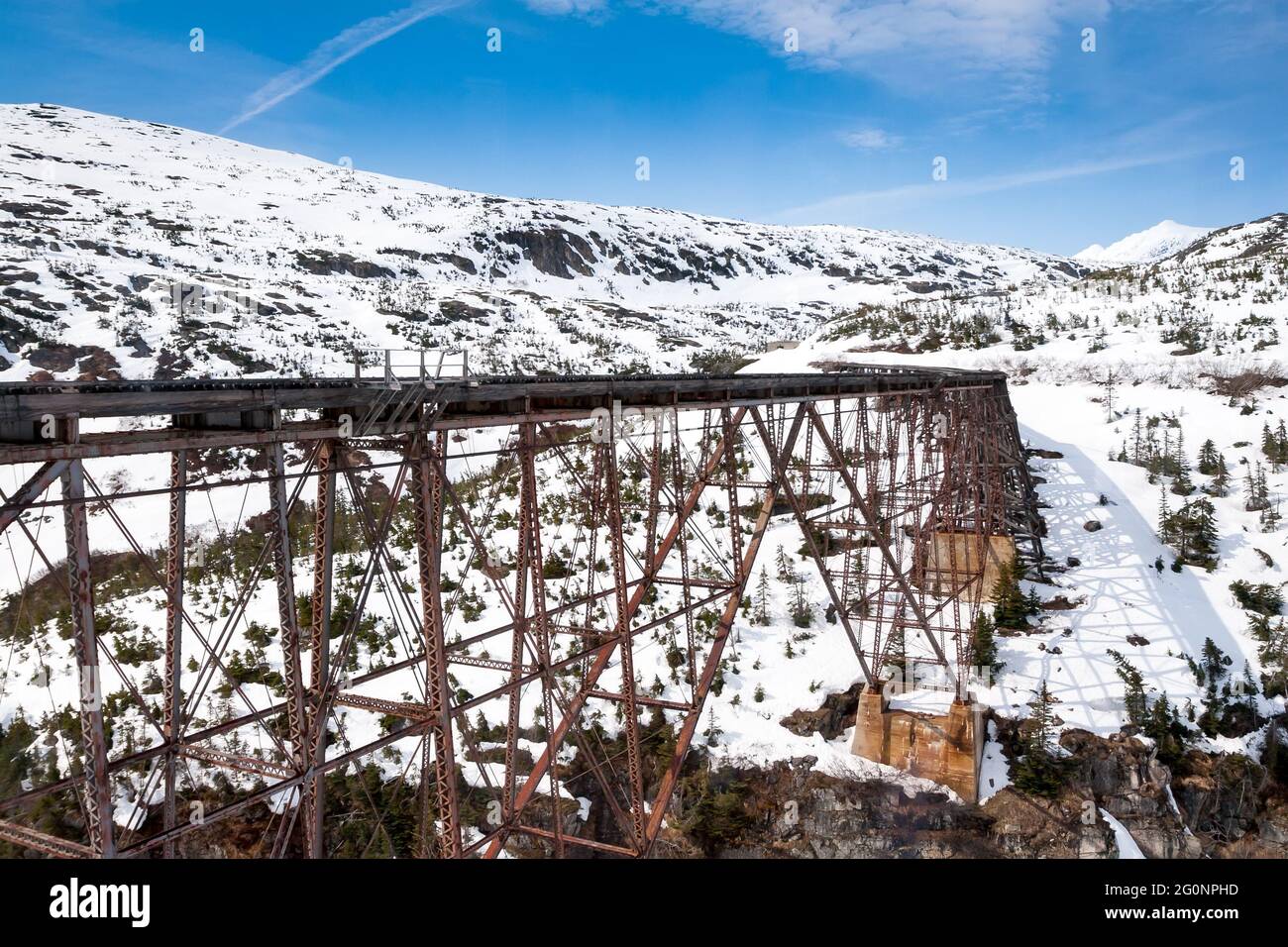 Stahlfreischwinger-Brücke, die 1901 über dem Dead Horse Gulch entlang des White Pass Trail in Alaska erbaut wurde Stockfoto