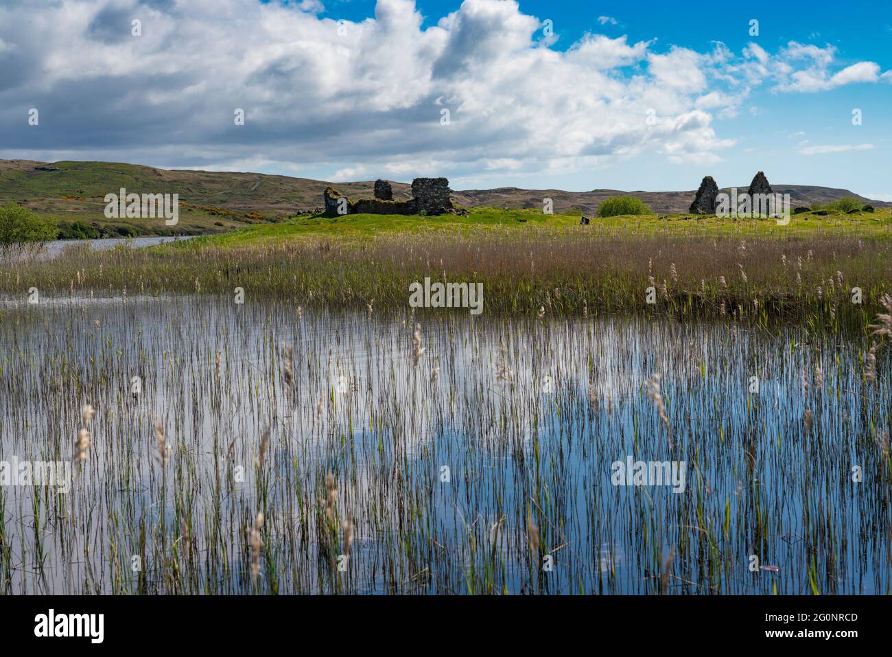 Ansicht der historischen Stätte von Finlaggan durch Schilf auf Eilean Mòr in Loch Finlaggan, Islay, Inner Hebrides, Schottland, Großbritannien Stockfoto