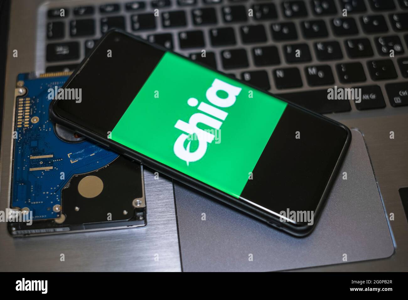 Neue grüne Krypto-Währung Chia auf einem Smartphone, hhd-Speichermünze Bergbauwirtschaft Stockfoto