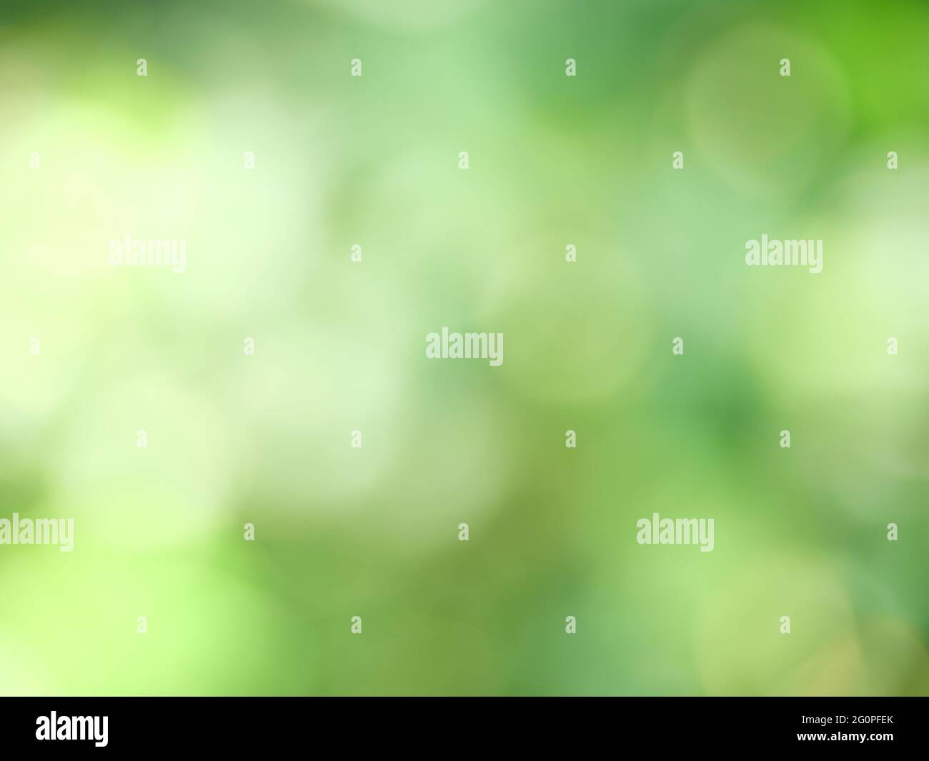 Abstrakter Hintergrund aus natürlichen Bokeh für die Feier der Weihnachtszeit, Mix aus Weiß mit grünen und gelben Kreis Stockfoto