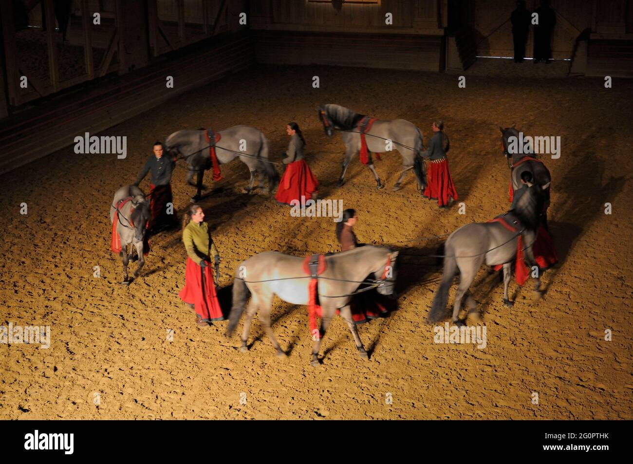 FRANKREICH. YVELINES (78) VERSAILLES. ACADEMIE DU SPECTACLE EQUESTRE (REITERAKADEMIE SHOW) MANEGE VON SCHLOSS GRANDE ECURIE Stockfoto