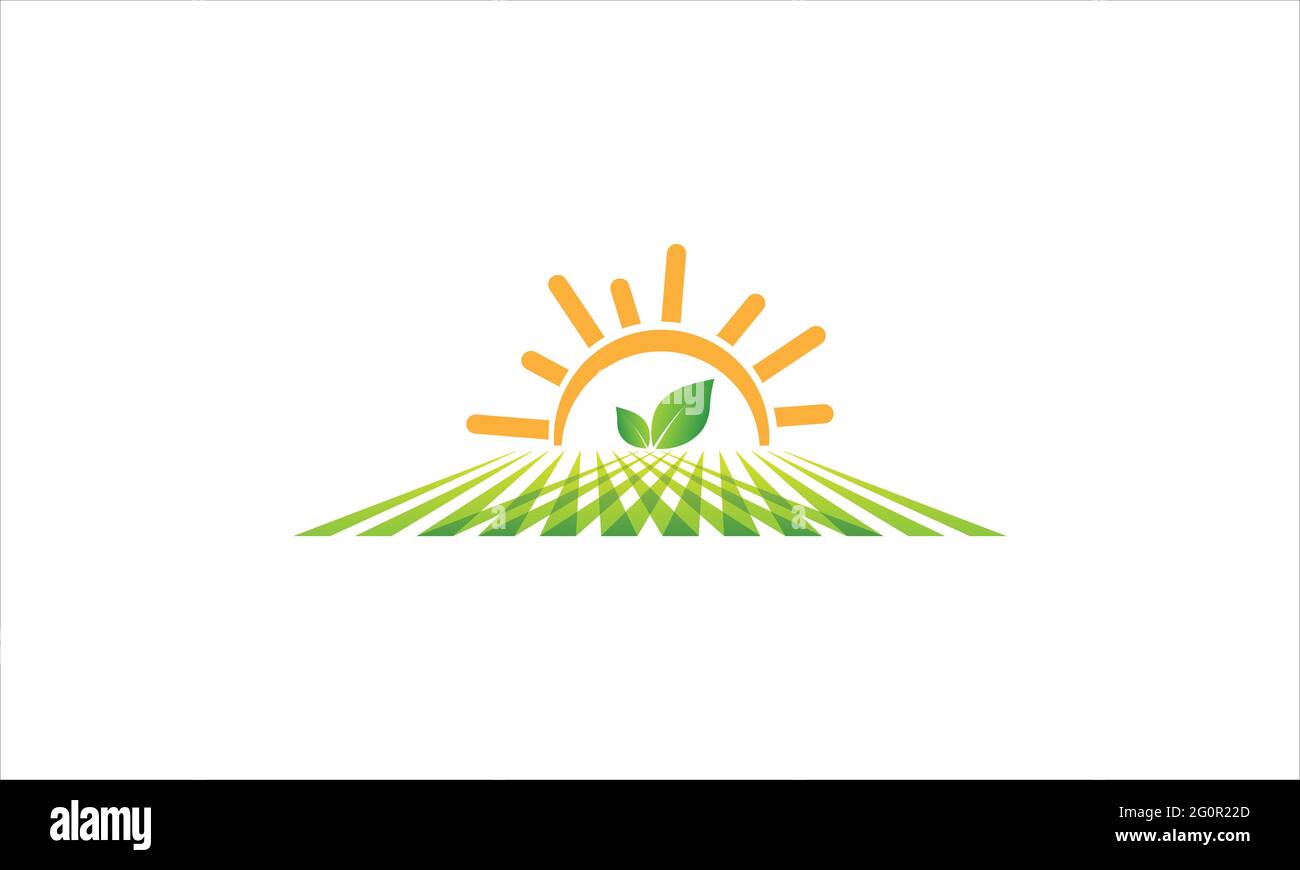 Sunrise mit Green Farm Feld Icon Logo Design Vektor Vorlage Illustration Stock Vektor