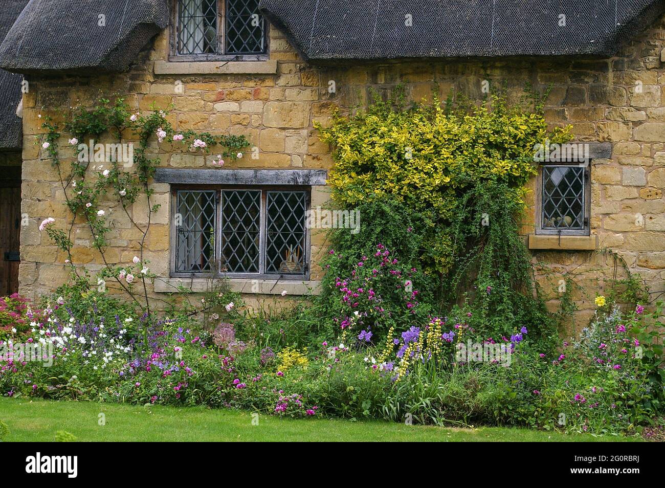 Honigfarbenes Cotswold-Steinhaus an der High Street, in der attraktiven Stadt Broadway, Cotswolds, Großbritannien; Blumengrenze im vorderen Garten. Stockfoto